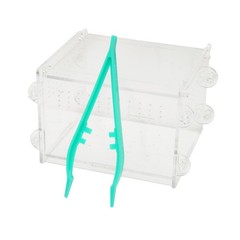 Plastic Reptile Feeding Clamp in Green for Safe and Hygienic Food Handling 20pcs