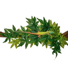 2 Pack Reptile Silk Plants with Suction Cups – Realistic Climbing Vines & Gra…