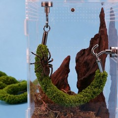 Practical Pet Climbing Rope for Tarantulas Geckos and Small Reptiles