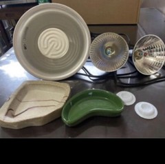 reptile supplies
