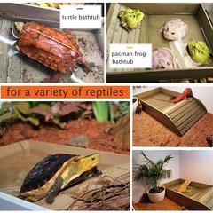3pcs Tortoise Food Dish with Ramp and Basking Platform Leaf Tortoise Water Fo…