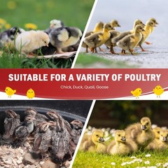 Chicken Brooder Box for Chick Starter Kit – 10 * 12inch Brooder Heating Plate…