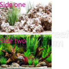 Cloudstone Holey Rock/Wonderscape 12″ Inch Aquarium/Terrarium Background
