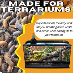 Combo Deal | 100+ Party Mix Isopods And 8oz Springtails | FREE SHIPPING!!