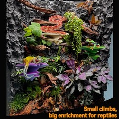 Mushroom Decor for Reptile Tank, Fish Tank, Pet-Safe Bearded Dragon Tank Acce…