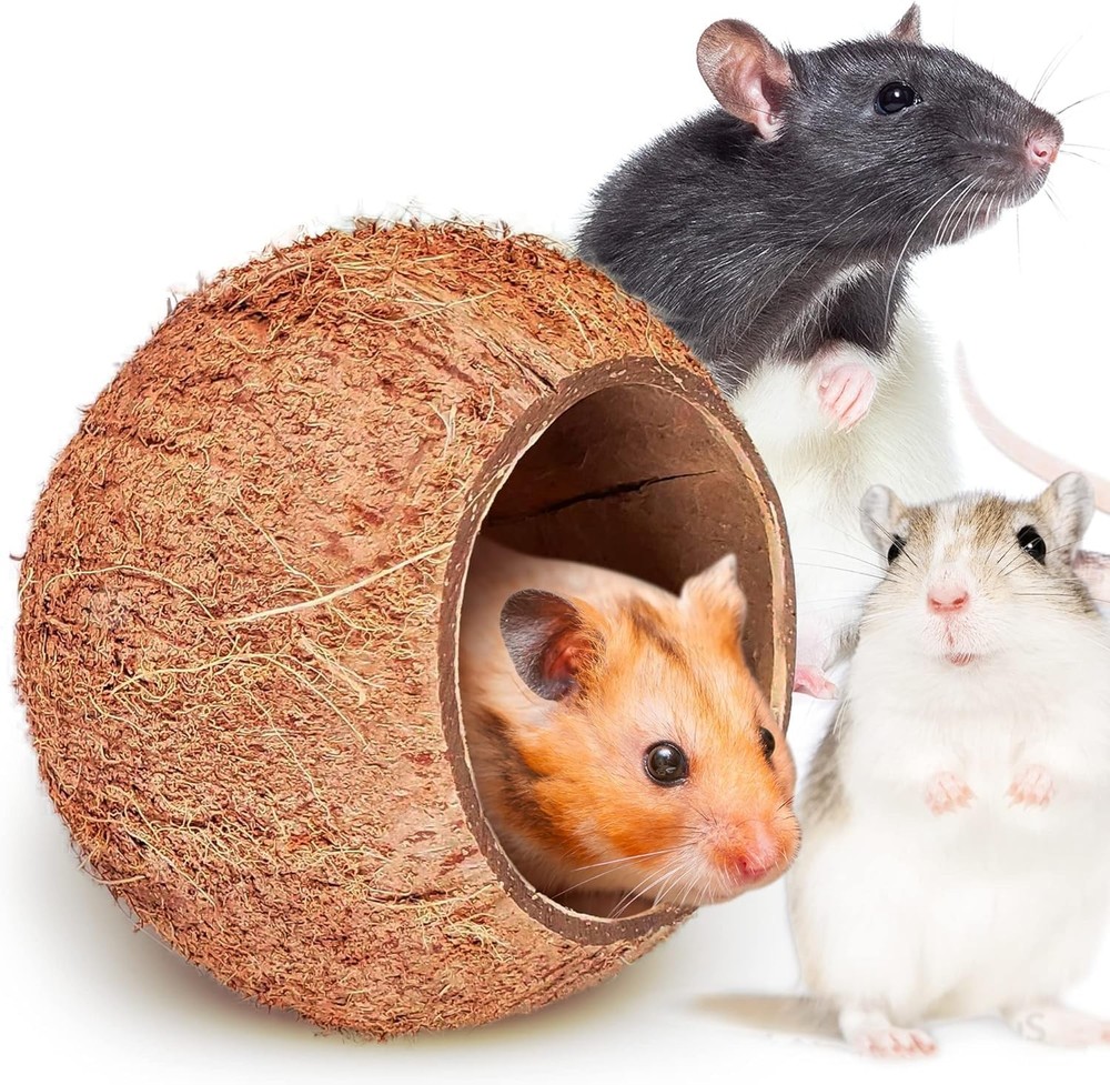 Raw Coconut Shell House for Gecko Snake Ball Python Reptile Hide