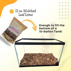 Mulched Leaf Litter for Reptiles, Isopods Live & Snails, Isopod Substrate, Te…