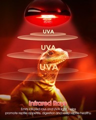 Flaspar 100W Red Heat Lamp Bulbs 2 Pack