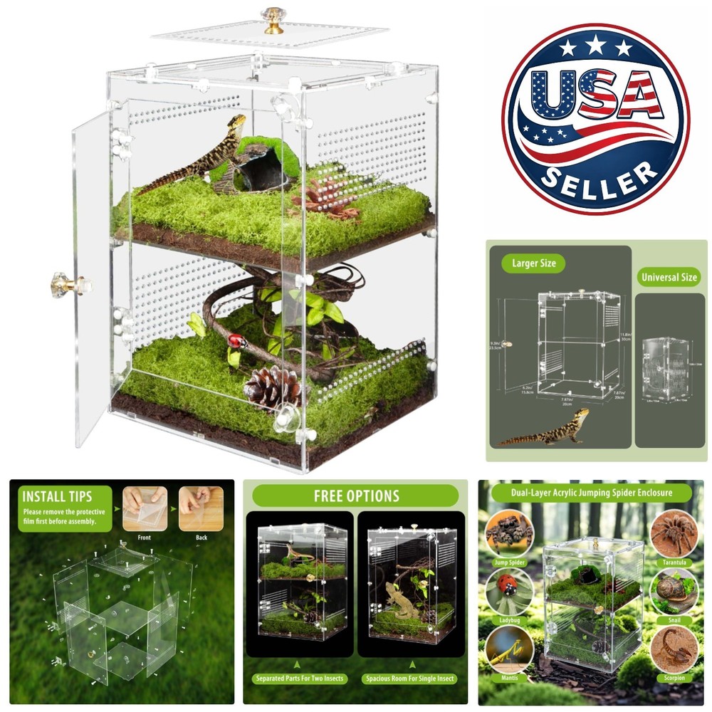 2 in 1 Customizable Acrylic Terrarium for Jumping Spiders and More, 12”x8”x8”