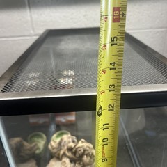 20 Gallon Reptile Terrarium Tank Kit UVB Bulbs Dishes Screen Lid