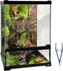 Reptile Glass Terrarium 10x10x14in with Front Door for Crested Gecko & More