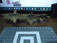 Natural Lightning Struck Tree Stump for Reptile Enclosure/Tank/Aquarium/Atrium
