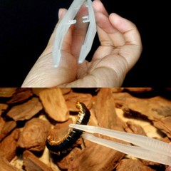 10pcs Reptile Feeding Non Slip Tweezers Clamp Pliers Plastic Feeder Clip Pet