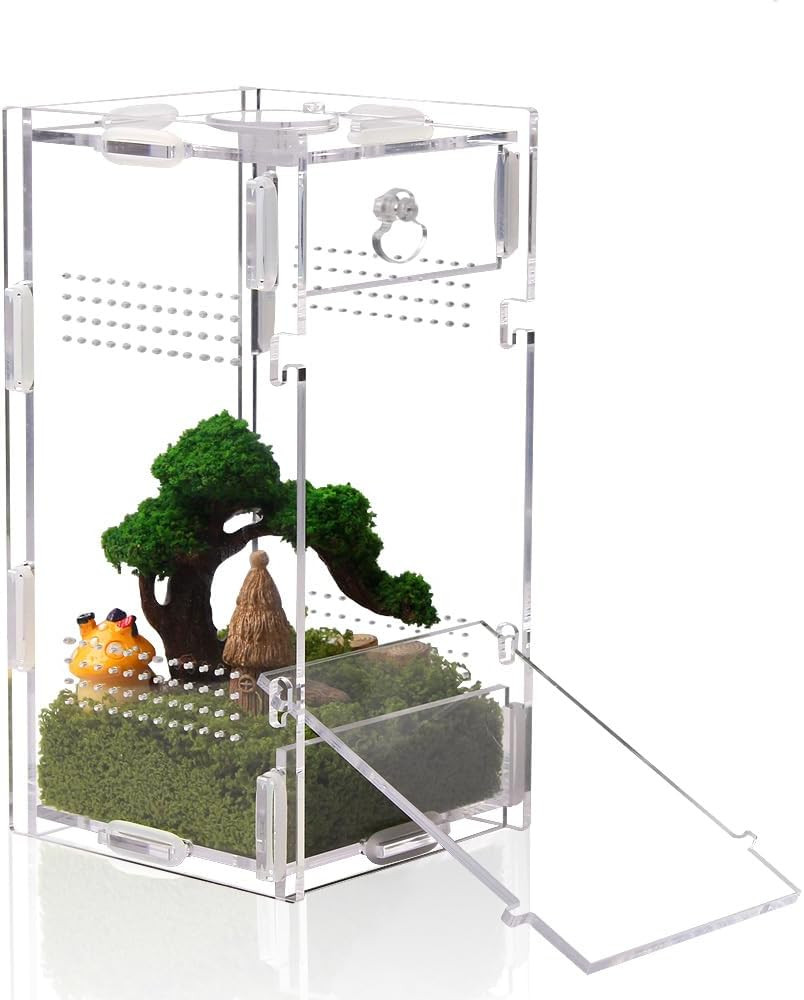 Acrylic Jumping Spider Enclosure, Small Reptile Terrarium Habitat for Tarantula