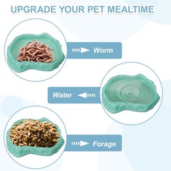 Reptile Food Bowl Reptile Feeding Dish Corner Bowl M (7.3In Glow Lake Blue)