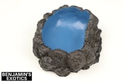 Reptile Water Bowl Small Dish Resin Naturalistic Ocean Rock Snake Lizard Frog