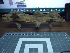 Natural Lightning Struck Tree Stump for Reptile Enclosure/Tank/Aquarium/Atrium
