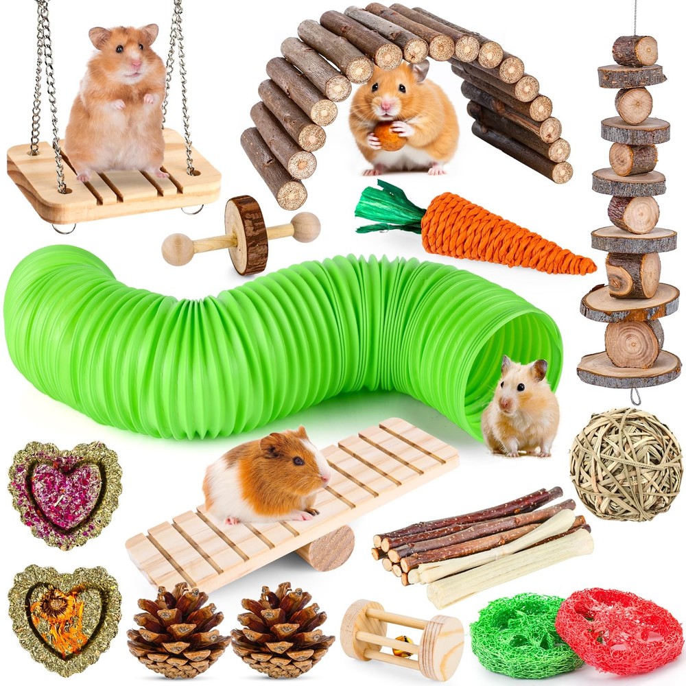 Hamster Toys Set, Guinea Pig Toys Small Animal Chewing Toy and Rat Cage Acces…