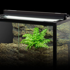 8W Reptile T5 HO UVB Lighting Combo Kit, 12″ Light Fixture Reptile Terrarium Hoo