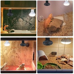 2-Pack 100W Ceramic Heat Emitter, Reptile Heat Lamp, Bulb, No-Light, Chicken
