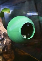 Gecko Frog Ball Cave Hide Amphibian Reptile Tank Enrichment Decor Decoration