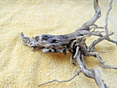 NATURAL SPIDER LIKE ROOT WOOD REPTILE TERRARIUM DECORATION ART GARDEN PET FLORAL