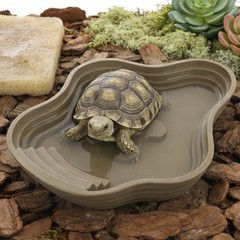 Tortoise Bathtub Reptile Water Basin Plastic Turtle Bowl Lizard Bathing