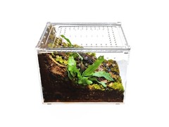 Herpcult Acrylic Reptile Terrarium Gecko Spider Vivarium Enclosure Medium Flat