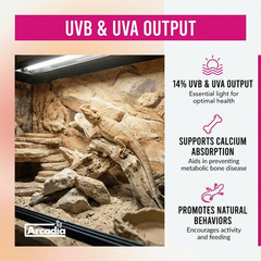 T5 UVB Reptile Light Fixture Kit 36″ Long 39 Watts 14% UVB Dragon – Complete UVB