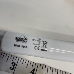 LUCKY HERP 10.0 Fluorescent Desert Terrarium 15″ Lamp Bulb Reptile Tube Light T8