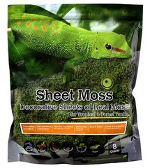 8 Quart Green Sheet Moss for Amphibians Terrariums and Reptile Bedding