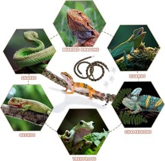 2 Pcs Reptile Vines for Climbing Bendable Jungle Vines Rope Decor