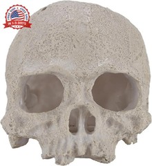 Resin Reptile Hideout for Tank Realistic Skull Decor for Terrarium White Decorat