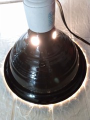 Reptile Plant Dome Lamp Light Fixture With On/Off Switch Terrarium Heat Source