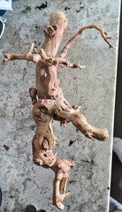 Walking Wood for Reptiles