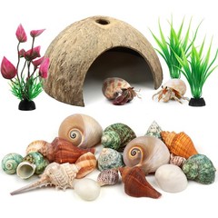 Hermit Crab Shells – Natural Coconut Shell Hut with Artificial Plants, Seashe…