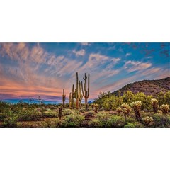 AWERT 30×12 inches Terrarium Background Blue Sky Cloud Huge Cactus Oasis Gobi…