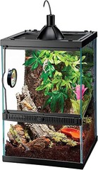 Tropical Vertical Habitat Starter Kit for Small Tree Dwelling Reptiles & Amph…