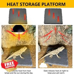 Tfwadmx Reptile Basking Platform 6″ Slate Feeding Dish