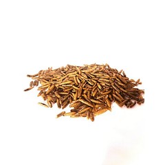 ProGrub Dried Black Soldier Fly Larvae – High Calcium – Select a Size