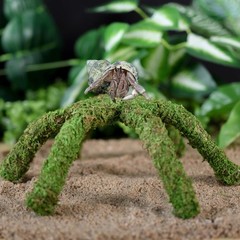 12 Inch Hermit Crab Climbing Toys for Tank, Fake Moss Hermit Crab Habitat Tank A