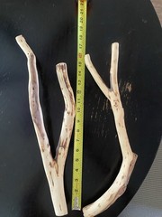 Manzanita Wood, Driftwood, Reptile Tank Decor, Fishtank aquascape Or Terrarium