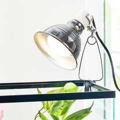100W Basking Bulb Reptiles Infrared Heat Light Terrarium Lamp Indoor Use