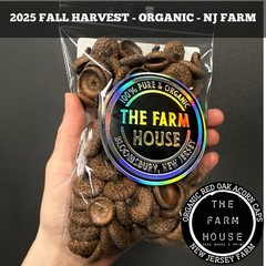 100+ ACORN CAPS (1/4 LB) -2X STERILIZED -FOR ISOPODS, TERRARIUM -ORGANIC NJ FARM