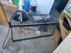Aquarium Tank Reptile, Lizards, Snakes, Frogs, Etc. Includes UVB & Feed Pen
