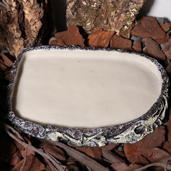Reptile Food Dish Bowl Amphibian Feeding Bowl Pet Aquarium Ornament Terrarium
