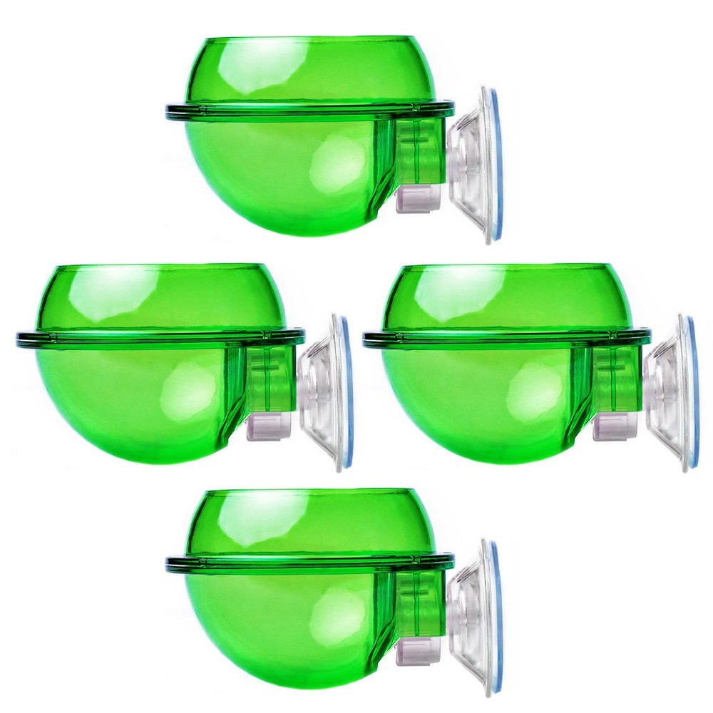 4 Pcs Reptile Feeding Basin Feeder Bowl Gecko Water Dish for Reptiles