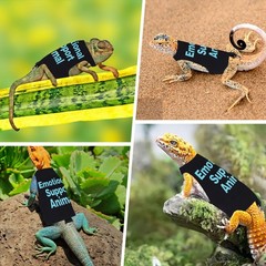Adjustable Bearded Dragon Harness and Leash Set for Outdoor Training