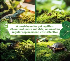 Live Terrarium Peat Moss Reptile Habitat Bedding Substrate 50 Sq Inches