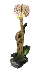 Magnatural Pitcher Plant with Driftwood PT-314 Bearded Dragon Crested Gecko R…